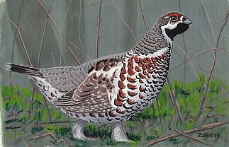 Fájlnév=Csaszarmadar.jpg
Fájlméret=35KiB
Méretek=500x322
Hozzáadás dátuma=2011 Március 1. Csaszarmadar.jpg